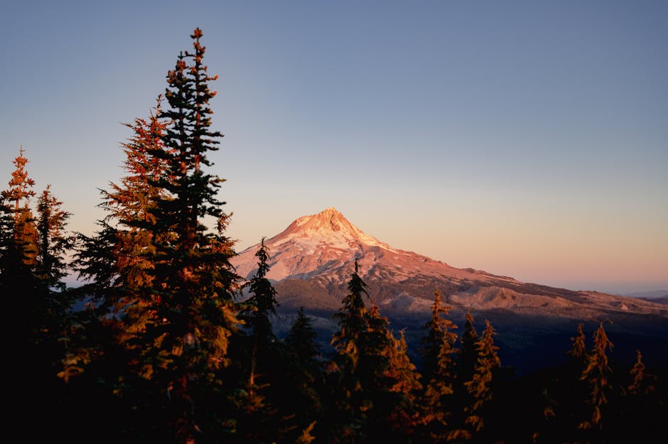 Affordable State-by-State Rentals in the Pacific Northwest