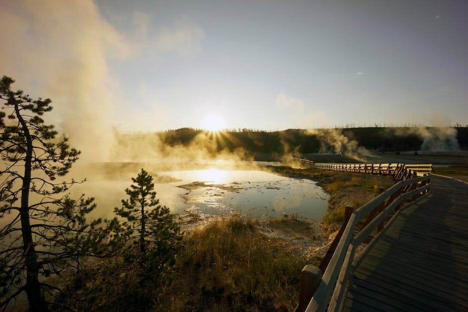 Exploring National Parks with USA National Rentals